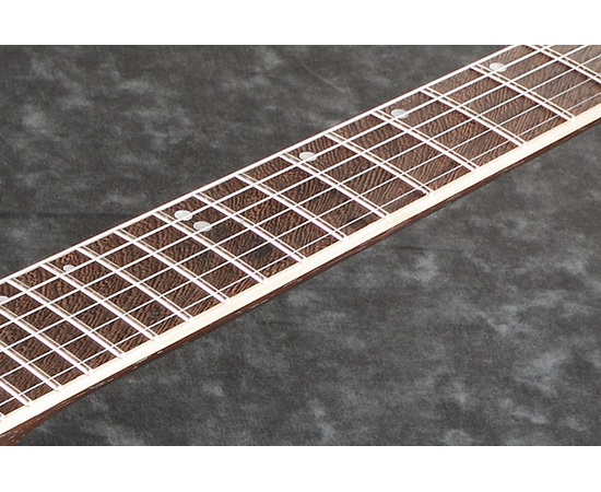 Электрогитара IBANEZ S1070PBZ-CLB