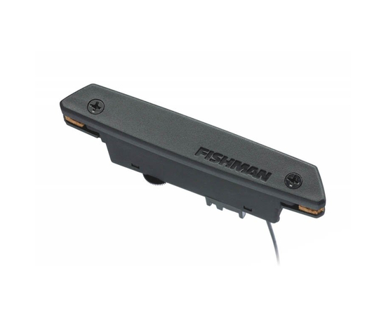 Звукосниматель Fishman PRO-REP-102 Rare Earth 123742 - 132974 за 0 грн. | 4Club