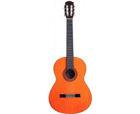 Классическая гитара Catala G-01 114815 - 133040 за 0 грн. | 4Club