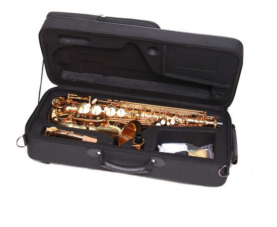 ​Альт саксофон Birdland BAS-11