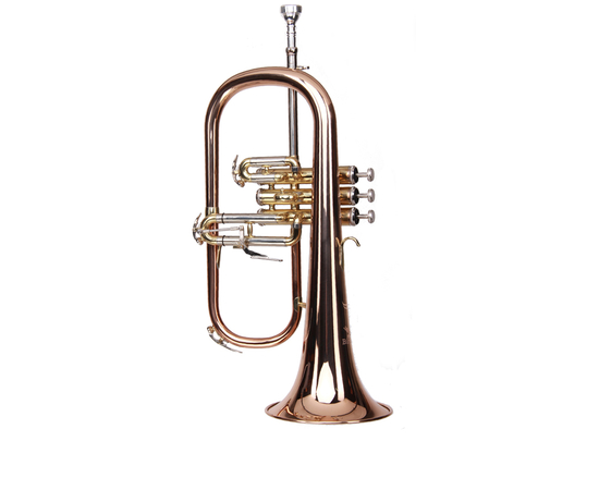 Флюгельгорн Birdland BFC-232 - 133554 за 0 грн. | 4Club