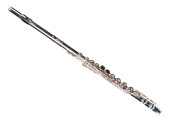 Флейта Birdland BFL-22 - 133552 за 0 грн. | 4Club