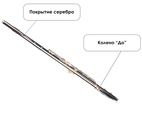 Флейта Birdland BFL-22