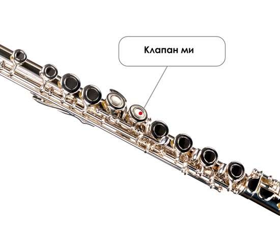 Флейта Birdland BFL-22