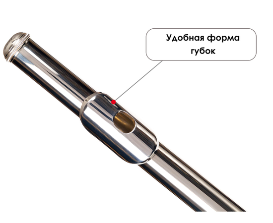 Флейта Birdland BFL-22