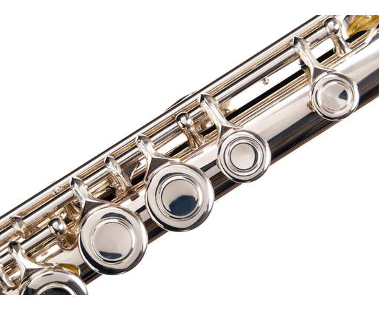 Флейта Birdland BFL-22