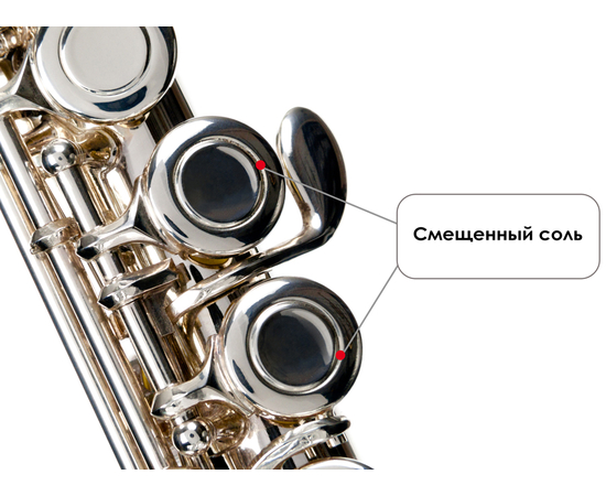 Флейта Birdland BFL-22