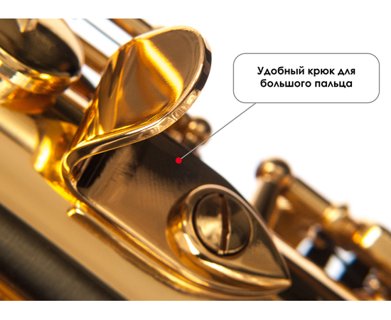 ​Сопрано саксофон Birdland BSS-11