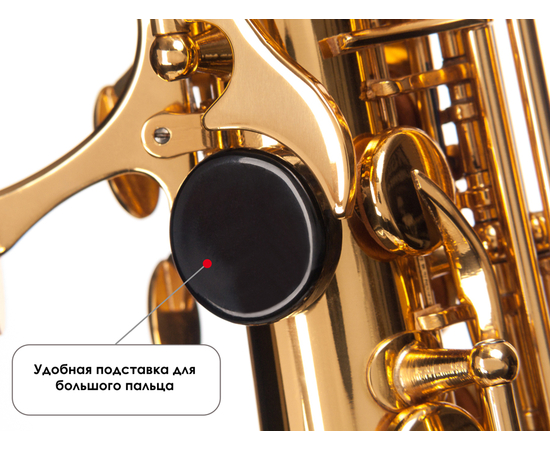 ​Сопрано саксофон Birdland BSS-11