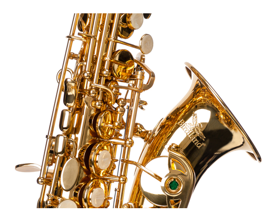 ​Сопрано саксофон Birdland BSS-11