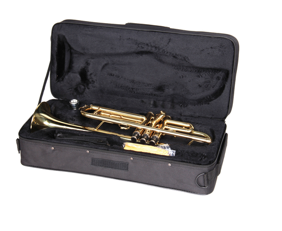 Труба Birdland BTR-23