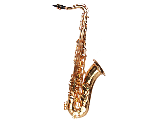 Тенор саксофон Birdland BTS-11 - 133549 за 0 грн. | 4Club