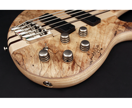 Бас-гитара CORT A5 Plus SCMS (Open Pore Natural) w/Case