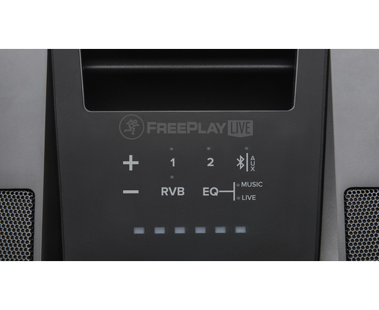 Акустическая система MACKIE FREEPLAY LIVE