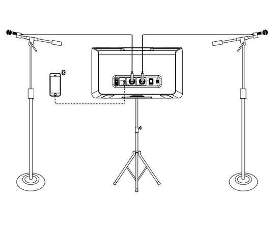 Акустическая система MACKIE FREEPLAY LIVE