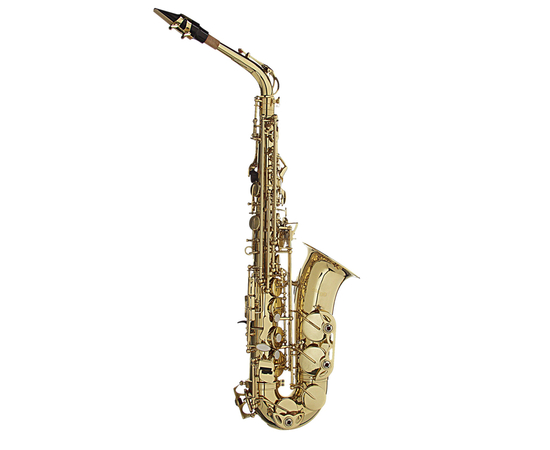 Саксофон альт Stagg WS-AS215S - 133634 за 29793 грн. | 4Club