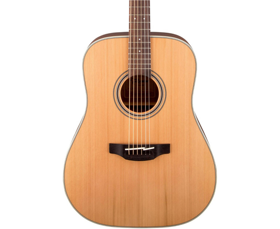 Акустическая гитара TAKAMINE GD20-NS