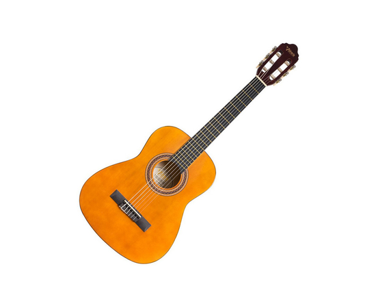 Классическая гитара VALENCIA VC101 - 134208 за 2958 грн. | 4Club