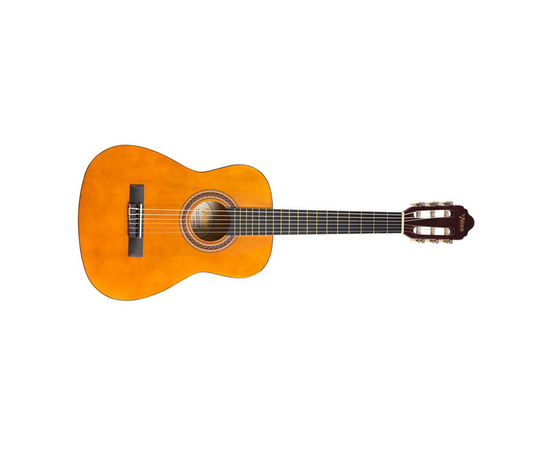 Классическая гитара VALENCIA VC101