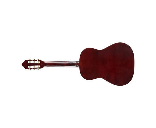 Классическая гитара VALENCIA VC101