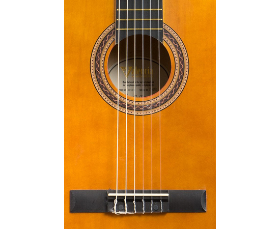 Классическая гитара VALENCIA VC101