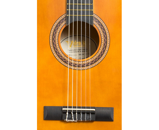 Классическая гитара VALENCIA VC103
