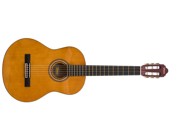 Классическая гитара VALENCIA VC254