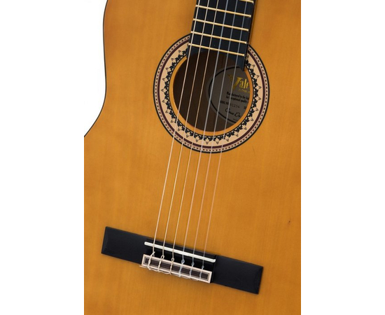 Классическая гитара VALENCIA VC254