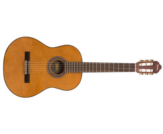 Классическая гитара VALENCIA VC504