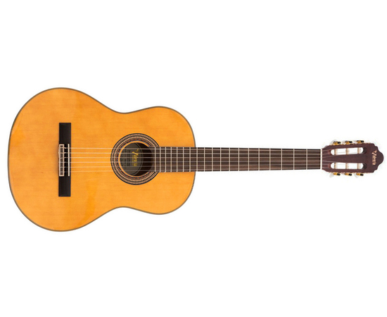 Классическая гитара VALENCIA VC604