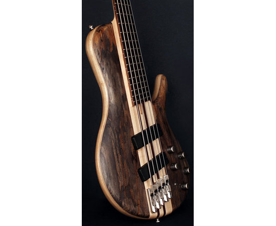 Бас-гитара CORT A5 Plus SCMS (Open Pore Trans Grey) w/Case