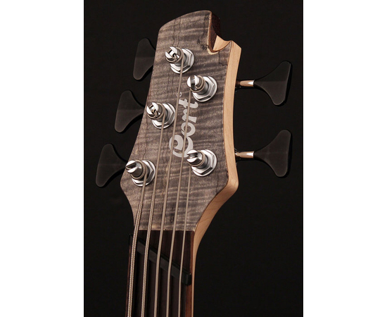 Бас-гитара CORT A5 Plus SCMS (Open Pore Trans Grey) w/Case