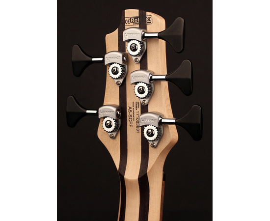 Бас-гитара CORT A5 Plus SCMS (Open Pore Trans Grey) w/Case