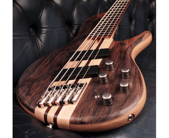 Бас-гитара CORT A5 Plus SCMS (Open Pore Trans Grey) w/Case