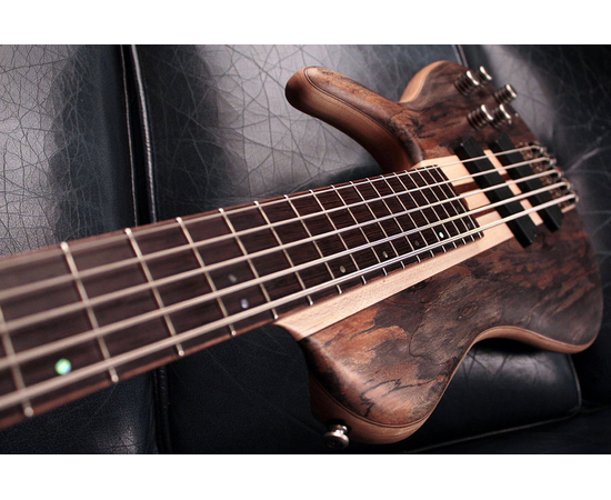 Бас-гитара CORT A5 Plus SCMS (Open Pore Trans Grey) w/Case