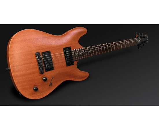 Электрогитара FRAMUS Diablo Progressive NS, фото 