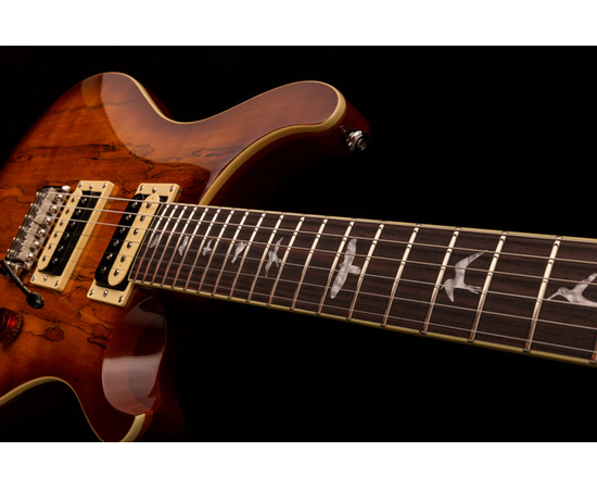 Электрогитара PRS SE Custom 24 Spalted Maple