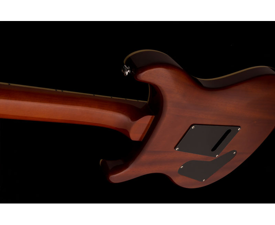 Электрогитара PRS SE Custom 24 Zebrawood
