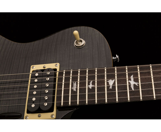 Электрогитара PRS SE Mark Tremonti - 2018 (Gray Black)