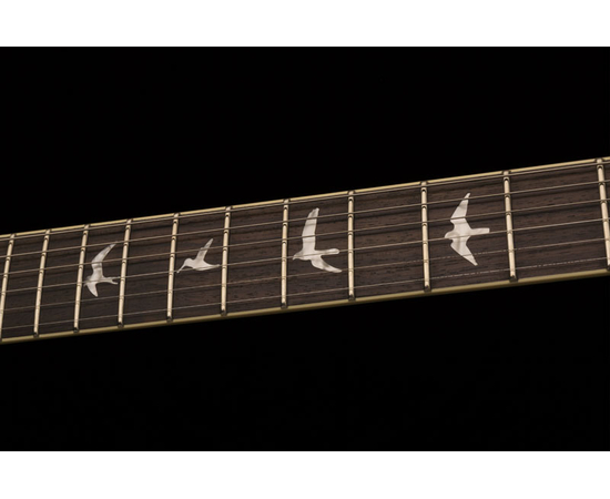 Электрогитара PRS SE Mark Tremonti Standard (Black)