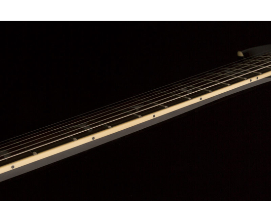 Электрогитара PRS SE Mark Tremonti Standard (Black)