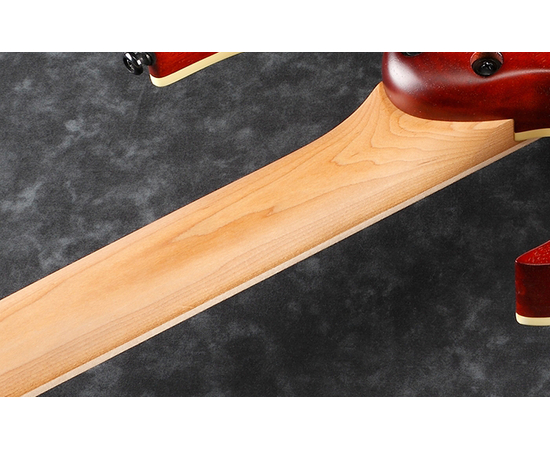 Электрогитара IBANEZ RGEW521FM NTF