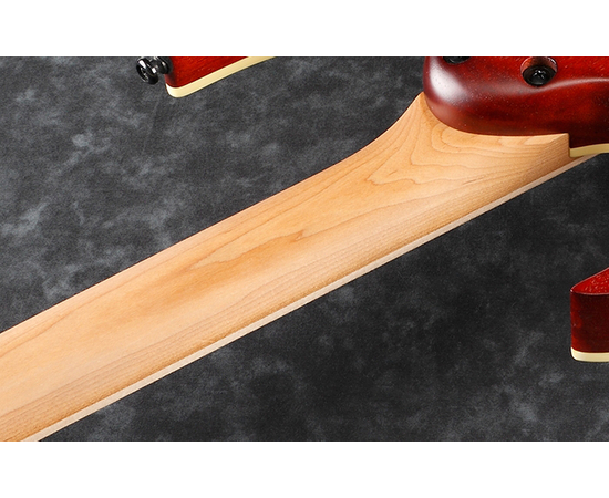 Электрогитара IBANEZ RGEW521ZC NTF