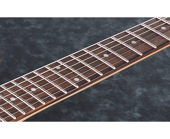 Электрогитара IBANEZ RGRT421 WK