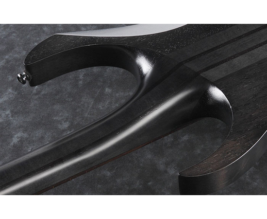 Электрогитара IBANEZ RGRT421 WK