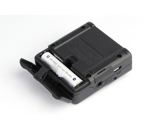 Портативный рекордер TASCAM DR-10L