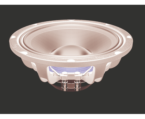 СЧ динамик LAVOCE WAN103.01 - 135983 за 0 грн. | 4Club