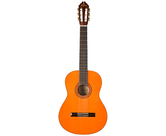 Классическая гитара Washburn C5 - 80372 за 0 грн. | 4Club