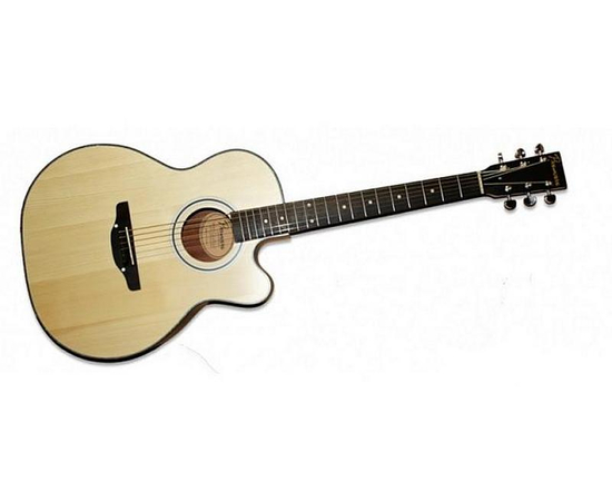 Акустическая гитара Premiere PA220 - 136623 за 0 грн. | 4Club