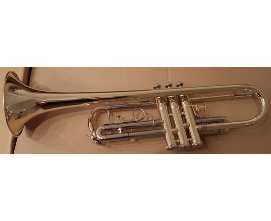 Труба MAXTONE TT168L - 137193 за 0 грн. | 4Club